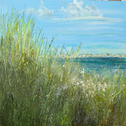 Summer Dreams